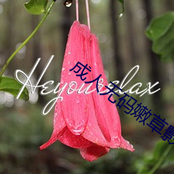 成(成)人无码嫩草影(影)院(院)
