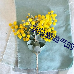 李白最霸气(qì)的(de)十首(shǒu)诗