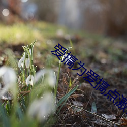 爱搞为(wèi)爱搞(go)点激情(qng)