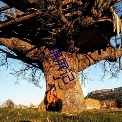 錦屏記