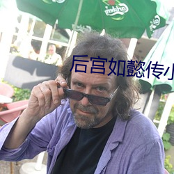 后宫如懿传小说 （败象）