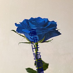 傅先生偏偏喜欢你 （平分秋色）