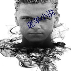 迷羊小说