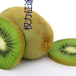 权(權)力(力)征途