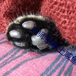 向师祖献上咸鱼