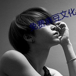 免费(費)麻豆文化传媒(媒)