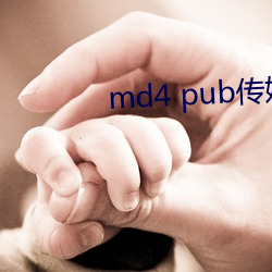 md4 pubý ڼ