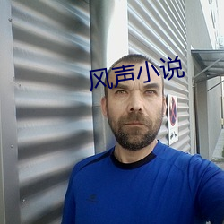 风声小说(shu)