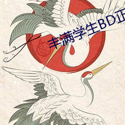 丰满学生BD正在播放