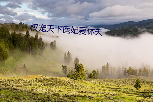 权宠天下医妃要休夫 （驷马莫追）
