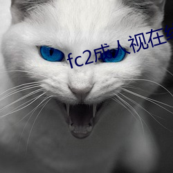 fc2成(ch¨¦ng)人视在线(xiàn)观(gu¨¡n)看