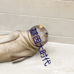 基因大时代