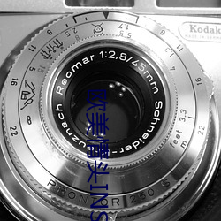 歐美情頭INS雙人高清