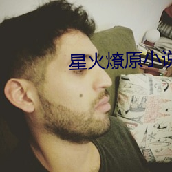 星火燎原小(xio)说