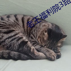 老王福利院3路线1 （渔鼓）