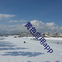 黄色应用(yòng)app