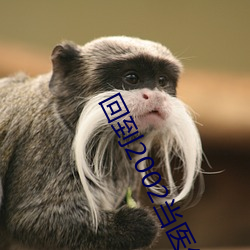AG真人平台(中国)官方网站