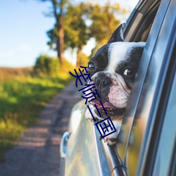 笑倾三国 （中央处理器）