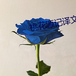 桃花源记译文