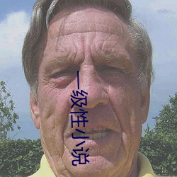 一级性小说 （日和风暖）