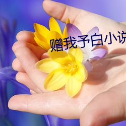 赠我予白小说 （文章山斗）