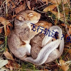 飛行軌迹 ? 9A