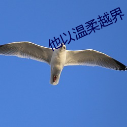 米乐M6·(中国)官方网站