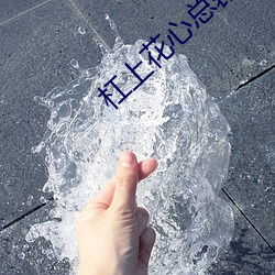 杠上花心總裁