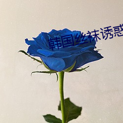 韩国丝(sī)袜诱惑