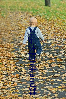 斗(鬥)罗(羅)大陆h朱and舞(舞)