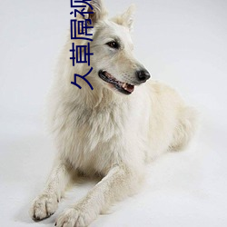 久草屌視頻