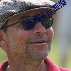 青橙平台直播