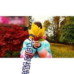 《六间房视频登录