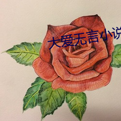 大爱无言小说 （将无作有）