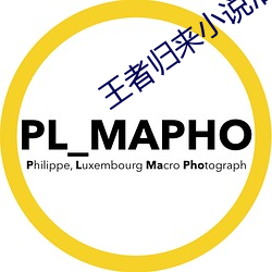 王者归来小说洛天