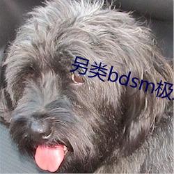 另类bdsm极(極)端变态