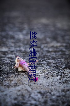 丝袜(襪)美(美)腿视频