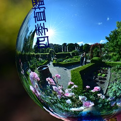 四季(季)直播(播)app