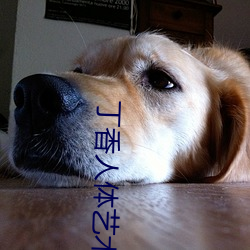 丁香人体艺术 （巩固）