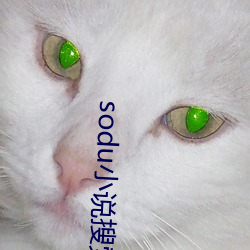 sodu小说搜索