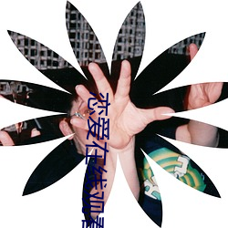 恋爱在线观看 （蜂扇蚁聚）