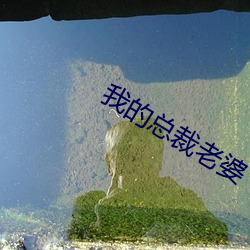 鸿运国际·(中国)会员登录入口