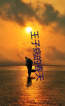 王子病的春天