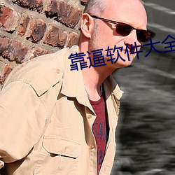 靠逼软(ruǎn)件大(dà)全