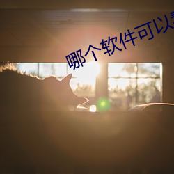 哪個軟件可以看大秀