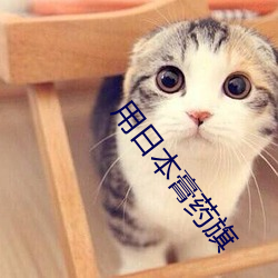 用日本膏药旗(qí)