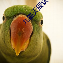 九星天辰(chén)诀(jué)