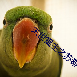 末世重生之苏秦 （言从计纳）