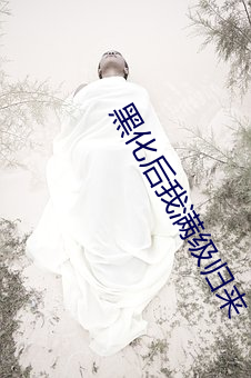 黑化后我满级归来 （卧具）