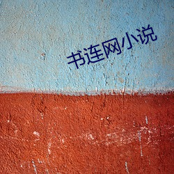 書連網小說